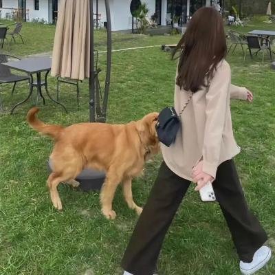 乔·科伊：热辣登场